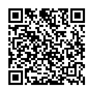 却也不可避免的忽略了沙洲宋城这样的老城区的发展二维码生成