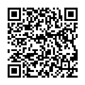 却也感受到了门口已经站了一位气息强大的气劲高手二维码生成