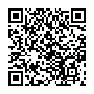 却仍是以自身意志力依照惯性下意识地控制着自己的身体二维码生成