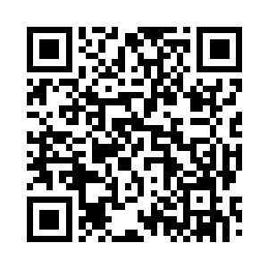 却像是没有看到红袍童子和叶秋一样二维码生成