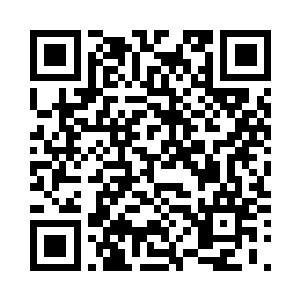 却只能卑躬屈膝给一个人类踩在脚下二维码生成