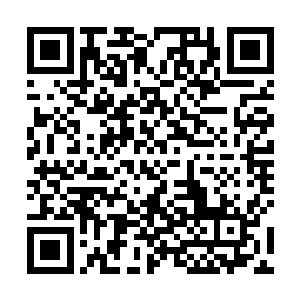 却可以清楚地看到那些个百姓正一个个伸长了脑袋张望二维码生成