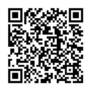 却在眨眼间刺杀者的尸体就砸在他们这边的墙壁上落了下来二维码生成