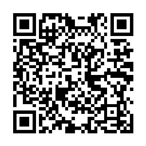 却挖出了一桩本该跟着你母亲一起永远沉睡的真相……二维码生成