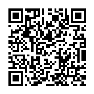 却无法保证永夜大君在过了一段时间之后仍不能熟知新世界规则二维码生成