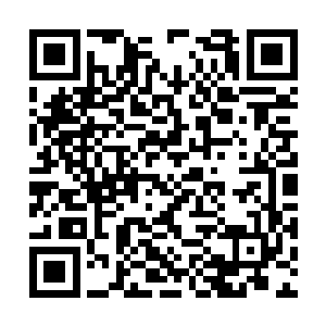 却是不愿意相信韩风的修为会是在圣域七重天之上二维码生成