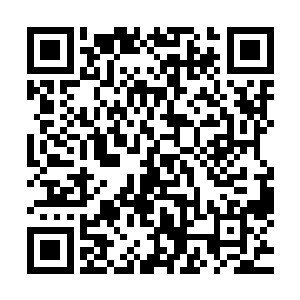 却是因为那梵语字体过小我无法准确辨识出其中的任何一个字二维码生成