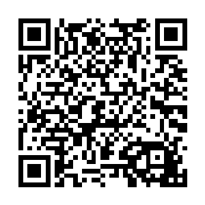 却是很干脆的在林封谨的面前幻化出来了一面冰镜二维码生成