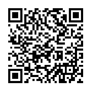 却是没有支持蓝翔的理由――起码得白驼门提出要求二维码生成