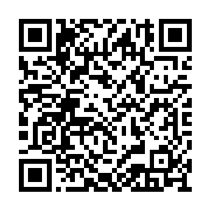 却是瞥见了身后的黑木为桢眼角带着深深的忧虑二维码生成