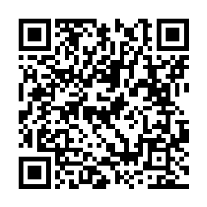 却是让对方有着一种自己绝对能够赢过对方的想法二维码生成