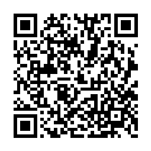 却是遭到了从天而降的一种人面妖鸟的疯狂袭击二维码生成