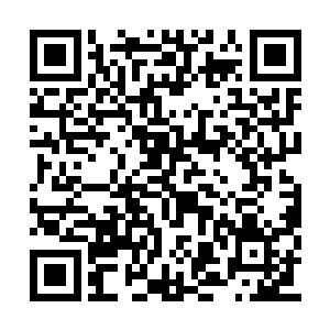 却显示着这十二颗药丸正是配制成功的无名药物二维码生成