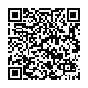 却有意无意忽略了他父亲以律师的身份帮他找到第一个订单二维码生成