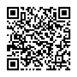 却能堪堪挡住了七朵金莲山崩地裂一般的狂猛攻势二维码生成