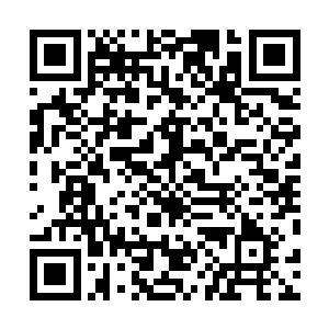 却见易红仙人那一直冷淡的脸上不知何时已经带上了严肃二维码生成