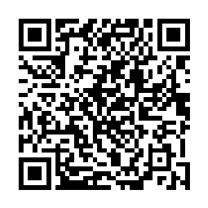 却说吕蒙以及陈武等人护送着鲁肃回到南门的孙军营地后二维码生成