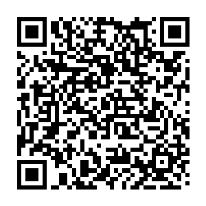 却跑到法国巴黎宣扬中医的倾城国际董事长厉倾城将亲自回答记者的提问二维码生成