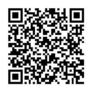 却骤然感觉到一股极致的恨意从这些文字中扑面而来二维码生成