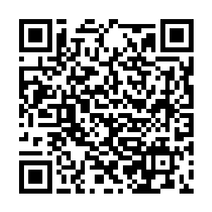 历经千辛万苦才建立起来的一丁点对修真者的信任二维码生成
