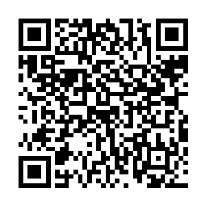 原先贺师兄和黑痣青年身上的元力波动都已经变得很弱小了二维码生成