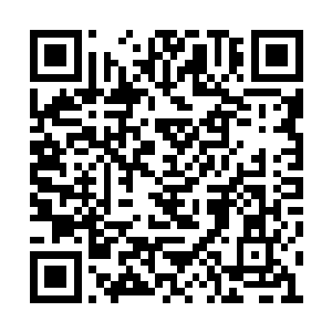 原因就是他们没有赵长枪那一手出神入化的内劲二维码生成