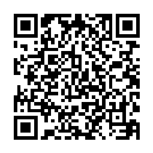 原因据说是因为他们发现这个大千世界天地灵气薄弱二维码生成