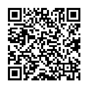 原封不动地发表了苏文写给帝国小公主赵丝儿的回信二维码生成