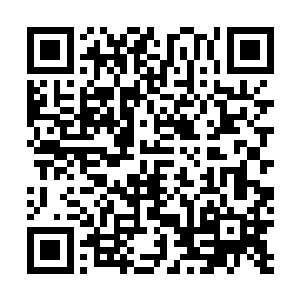 原战邀请音城和土城使者参加九原夏日最大的节日七耀节二维码生成