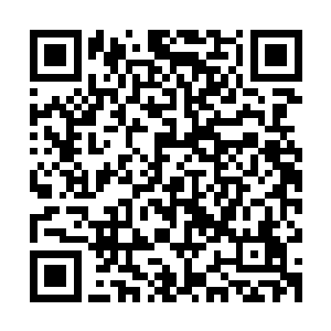 原木搭建的栈桥在湿地沼泽中伸出一直到水波浩淼处的一角凉亭二维码生成