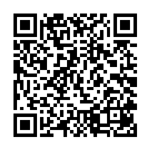 原本一家四口今儿晚上就是商量着俩孩子的教育问题二维码生成