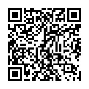 原本一直在红布里一动不动的青色雕象这会发出吱吱的叫声二维码生成