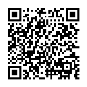 原本他们看到龙傲天竟然跟天宇阁的护卫起了冲突的时候二维码生成