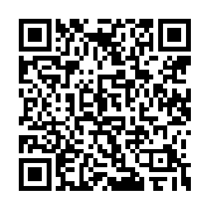 原本位于巨蟒前方的熊孩子却忽然消失在了原地二维码生成