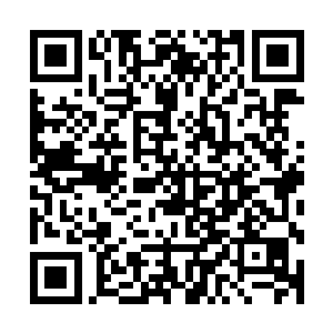 原本侧着的棺身就被这看上去走两步都会喘的小胖妞给推正了二维码生成