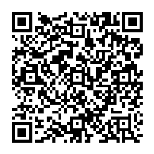 原本几乎占据了整个天空的黑色巨蟒已经在一阵阵紫色烈焰的不断翻涌和爆炸中被彻底吞噬二维码生成