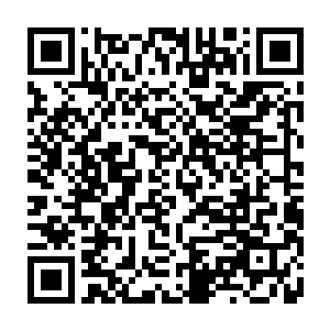 原本只有虚王境气息的小丫头竟化作一个看起来二三十岁明眸皓齿的少女二维码生成