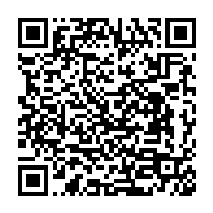 原本只能戴在头顶上的骨承也化作宽手镯一样的东西卡在了他的左腕上二维码生成