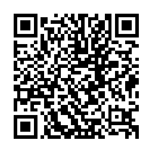 原本听到雷龙岛上到处都是惨叫之声而升起的那一丝心软和愧疚二维码生成