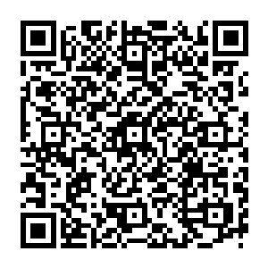 原本因为前期没有打好基础而没有开拓仔细的经脉借着这个机会也重新梳理巩固了一番二维码生成