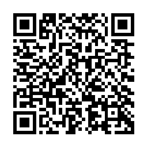 原本因为金鉴定说可以以物抵押竞拍气氛又热烈起来的拍卖场二维码生成