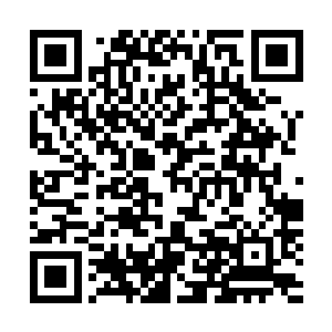 原本围拢在门户前的修真者们随着紫微星的站出和准备动手二维码生成
