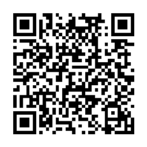 原本在广场维持秩序的白衣侍女们也纷纷飞身而起二维码生成