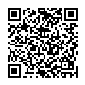 原本在跟龙傲天竞争的那些人几乎在同一瞬间全都哑火了二维码生成