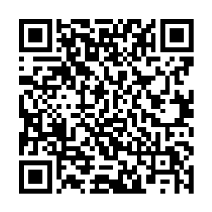 原本在这几处安插了不少人手的太后只能气得干瞪眼二维码生成