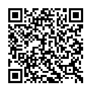 原本就是无数纯净堆砌起来还勉强算是纯净的他二维码生成