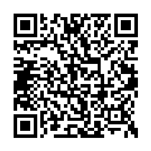 原本已经正常的眼睛又变成双目四瞳的看着我道二维码生成
