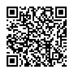 原本很勉强的大师级后期的修为如今早已经完全稳固了二维码生成