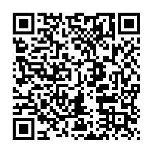 原本按照计划是在步子寒进入百强之后争夺前十的时候才能使用的二维码生成