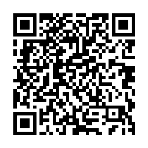 原本整得跟个夜场一样的卢家废墟前面已经只留下一堆垃圾了二维码生成